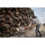 120534-2.webp