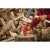 120535-5.webp