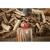 120535-6.webp