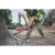 120545-2.webp