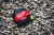 4932498765--App_1.webp