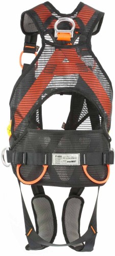 P600_pomarańczowe,2.jpg
