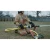 137423-1.webp