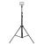137424-0.webp