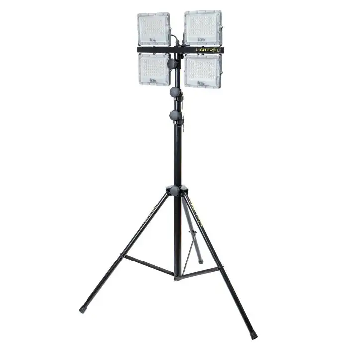 137431-1.webp