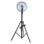 137439-3.webp