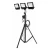 137441-0.webp