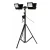 137442-0.webp