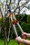 imgi_12_c5976bf8_7e_2092179350.jpg.jpg