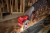 M12_FCOT-422X--App_3.jpg