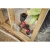 50144-5.webp