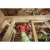50144-6.webp