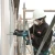 137514-15.webp