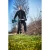 137884-16.webp