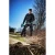 137884-19.webp
