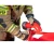 137490-1.webp