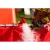 137493-2.webp