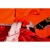 137494-2.webp