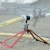 137423.webp