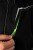 imgi_7_9679083f_d5_2092101734.jpg_2.jpg