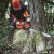 pol_pl_Pilarka-lancuchowa-Makita-UC030GZ03-49816_1.jpg