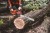 pol_pl_Pilarka-lancuchowa-Makita-UC030GZ03-49816_5.jpg