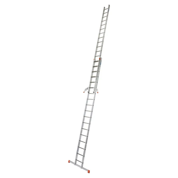 81370-0.webp