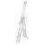 81397-0.webp