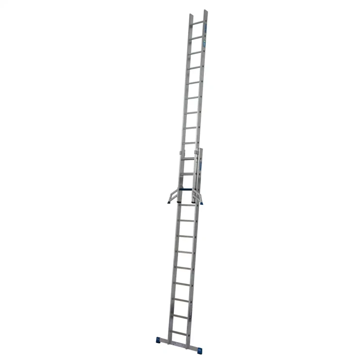 81405-0.webp
