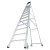 81279-3.webp