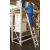 81721-2.webp