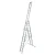 81398-0.webp