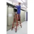81685-5.webp