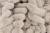 L9090100_WEB_07_HiResPNG.jpg