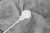 L9090200_WEB_05_HiResPNG.jpg