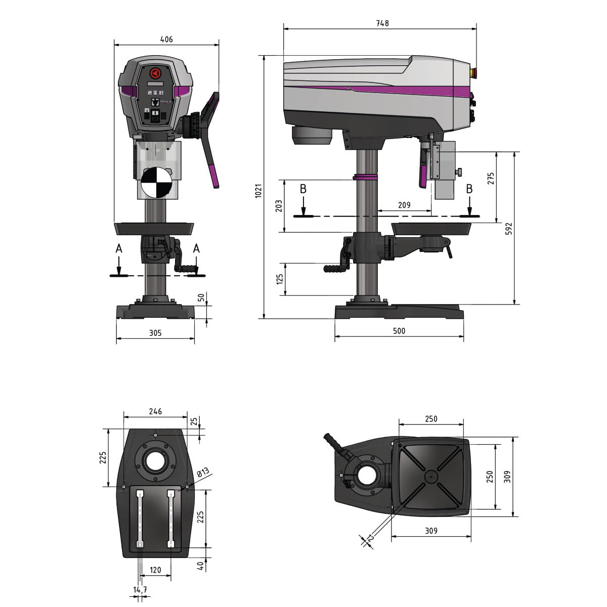 79270-3.jpg