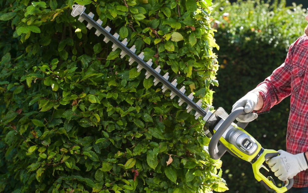 Ryobi RHT8165RL,5.jpg