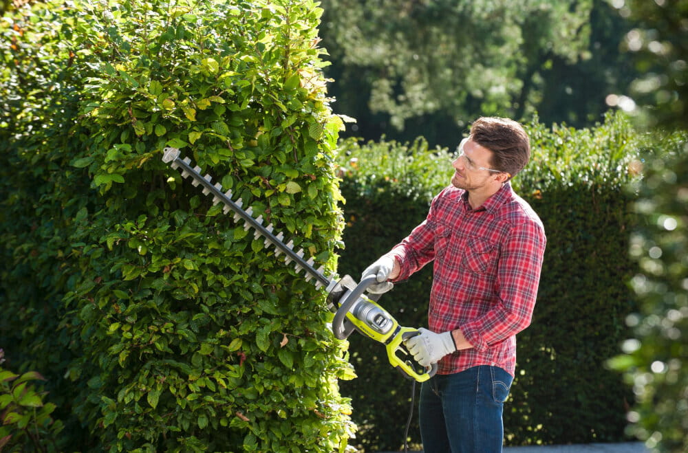 Ryobi RHT8165RL,2.jpg