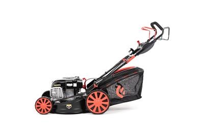 imgi_7_imagehandler (1).jpg