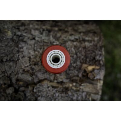 imgi_20_2021.jpg